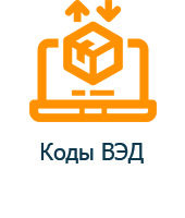 Icon 01